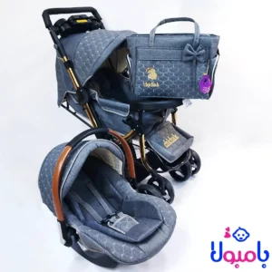 سرویس کالسکه مولانژ چیچک