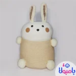 سبد نظم دهنده نوزاد