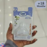 سر شیشه وی کر