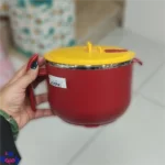 ظرف غذای داخل استیل دسته دار